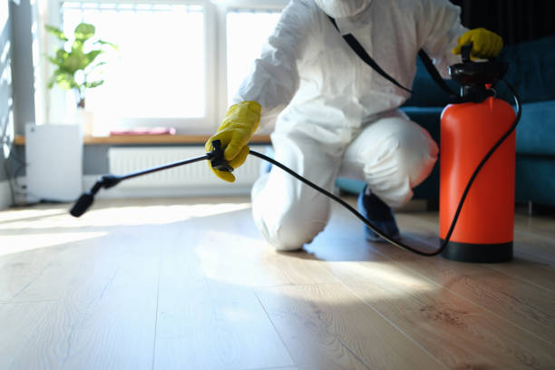 Reliable Blood Cleanup contractor in Mi-Wuk Village, CA by Trauma Clean Pros